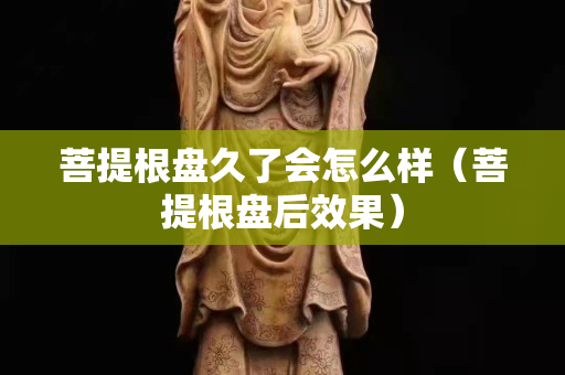 菩提根盘久了会怎么样（菩提根盘后效果）