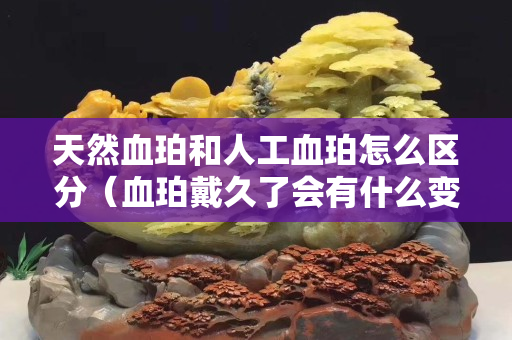 天然血珀和人工血珀怎么区分（血珀戴久了会有什么变化）