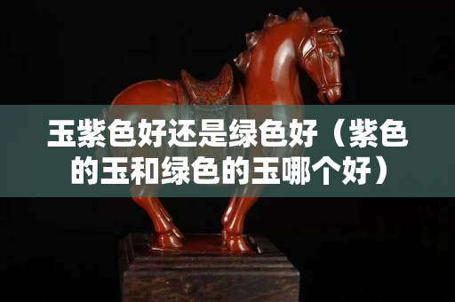 玉紫色好还是绿色好（紫色的玉和绿色的玉哪个好）