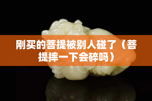 刚买的菩提被别人碰了（菩提摔一下会碎吗）