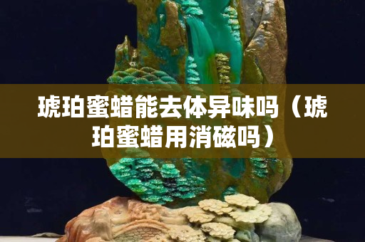 琥珀蜜蜡能去体异味吗（琥珀蜜蜡用消磁吗）