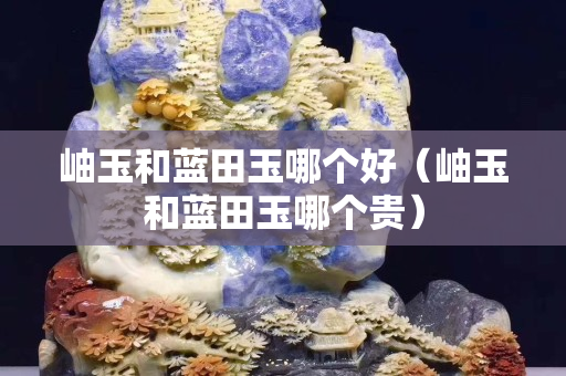 岫玉和蓝田玉哪个好（岫玉和蓝田玉哪个贵）