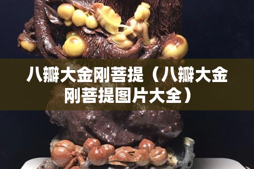 八瓣大金刚菩提（八瓣大金刚菩提图片大全）