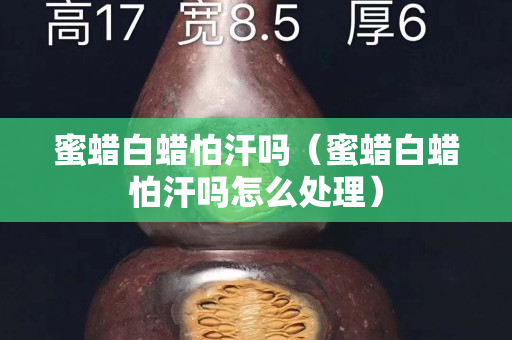 蜜蜡白蜡怕汗吗（蜜蜡白蜡怕汗吗怎么处理）