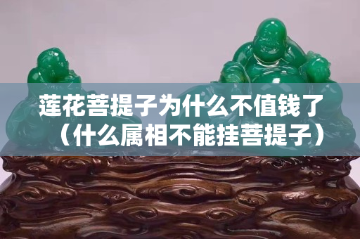 莲花菩提子为什么不值钱了（什么属相不能挂菩提子）