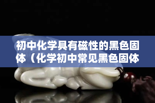 初中化学具有磁性的黑色固体（化学初中常见黑色固体）