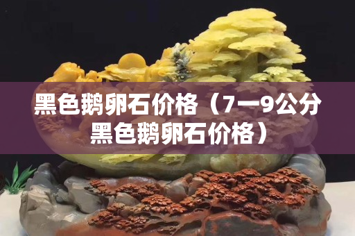 黑色鹅卵石价格（7一9公分黑色鹅卵石价格）