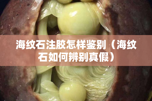 海纹石注胶怎样鉴别（海纹石如何辨别真假）