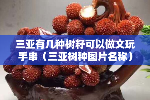 三亚有几种树籽可以做文玩手串（三亚树种图片名称）