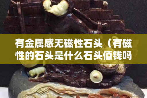 有金属感无磁性石头（有磁性的石头是什么石头值钱吗）