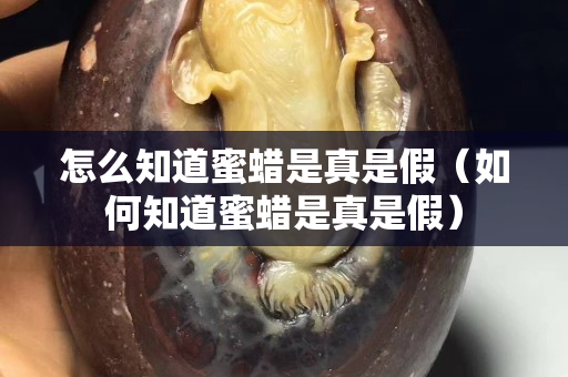 怎么知道蜜蜡是真是假（如何知道蜜蜡是真是假）