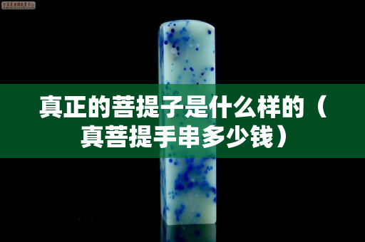 真正的菩提子是什么样的（真菩提手串多少钱）