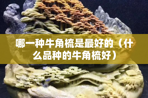 哪一种牛角梳是最好的（什么品种的牛角梳好）