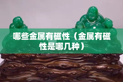 哪些金属有磁性（金属有磁性是哪几种）