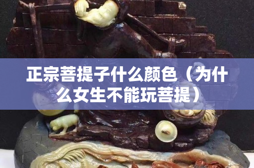 正宗菩提子什么颜色（为什么女生不能玩菩提）