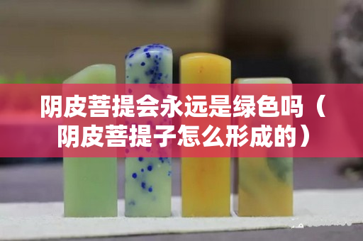 阴皮菩提会永远是绿色吗（阴皮菩提子怎么形成的）
