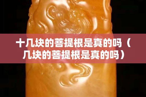 十几块的菩提根是真的吗（几块的菩提根是真的吗）