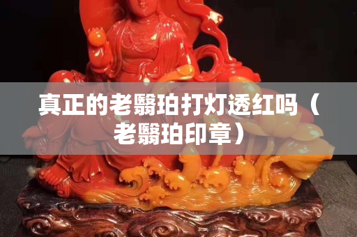 真正的老翳珀打灯透红吗（老翳珀印章）