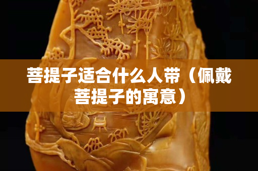 菩提子适合什么人带（佩戴菩提子的寓意）