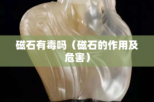 磁石有毒吗（磁石的作用及危害）