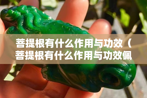 菩提根有什么作用与功效（菩提根有什么作用与功效佩戴禁忌）