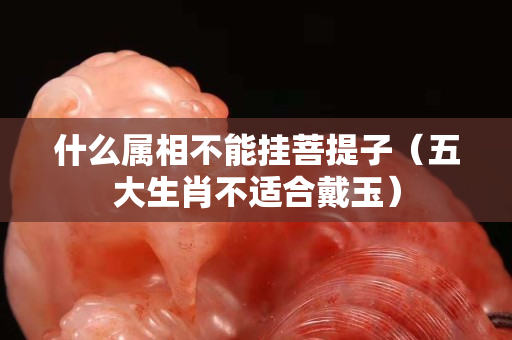什么属相不能挂菩提子（五大生肖不适合戴玉）