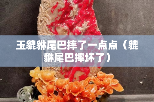 玉貔貅尾巴摔了一点点（貔貅尾巴摔坏了）