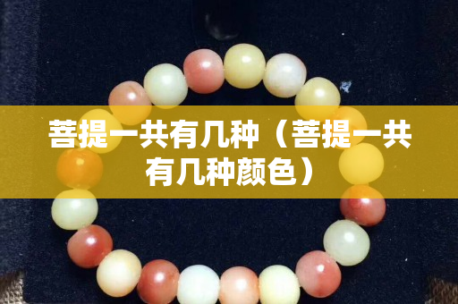 菩提一共有几种（菩提一共有几种颜色）