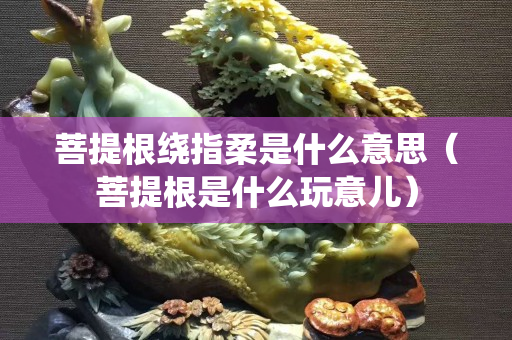 菩提根绕指柔是什么意思（菩提根是什么玩意儿）