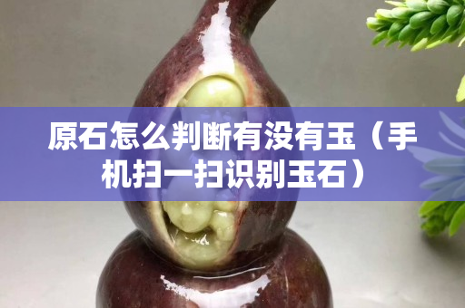 原石怎么判断有没有玉（手机扫一扫识别玉石）