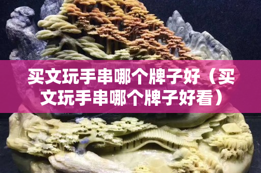 买文玩手串哪个牌子好（买文玩手串哪个牌子好看）