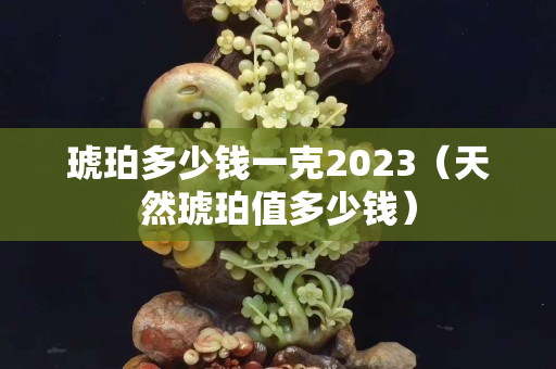 琥珀多少钱一克2023（天然琥珀值多少钱）