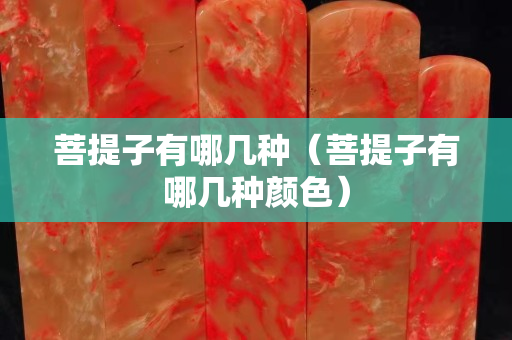 菩提子有哪几种（菩提子有哪几种颜色）