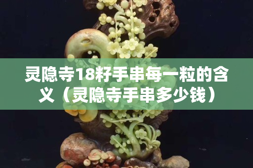 灵隐寺18籽手串每一粒的含义（灵隐寺手串多少钱）