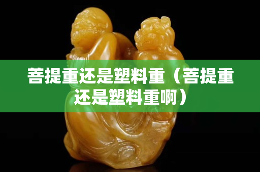 菩提重还是塑料重（菩提重还是塑料重啊）