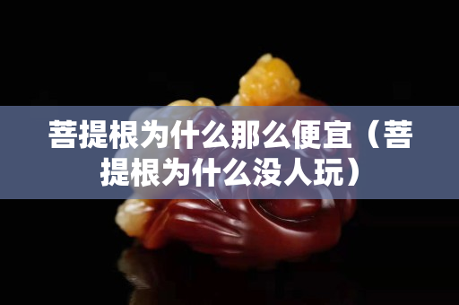菩提根为什么那么便宜（菩提根为什么没人玩）