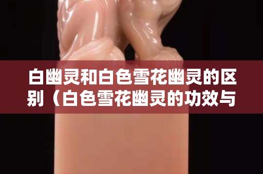 白幽灵和白色雪花幽灵的区别（白色雪花幽灵的功效与作用）