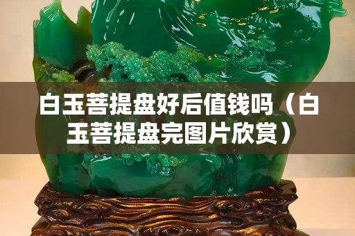白玉菩提盘好后值钱吗（白玉菩提盘完图片欣赏）