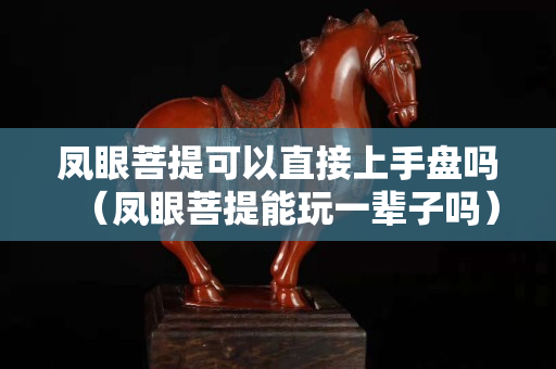 凤眼菩提可以直接上手盘吗（凤眼菩提能玩一辈子吗）