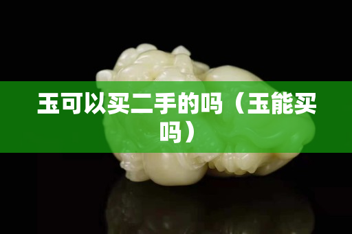 玉可以买二手的吗（玉能买吗）