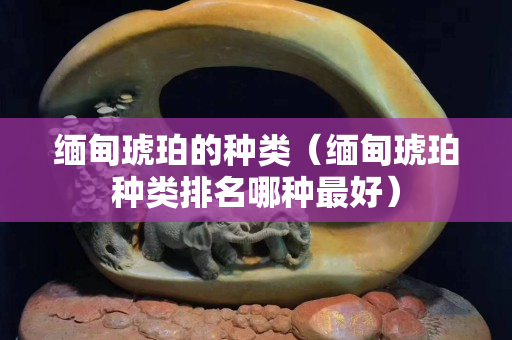 缅甸琥珀的种类（缅甸琥珀种类排名哪种最好）