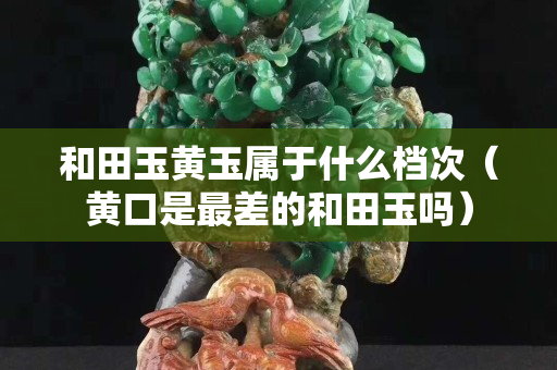 和田玉黄玉属于什么档次（黄口是最差的和田玉吗）