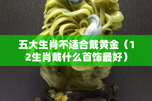 五大生肖不适合戴黄金（12生肖戴什么首饰最好）