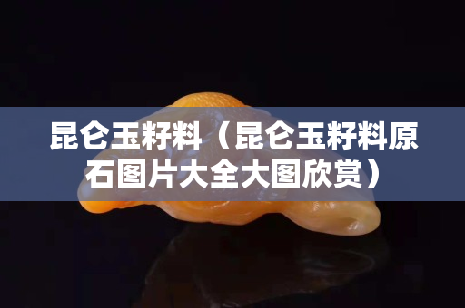 昆仑玉籽料（昆仑玉籽料原石图片大全大图欣赏）