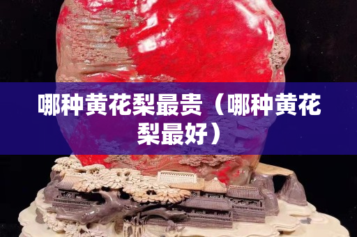 哪种黄花梨最贵（哪种黄花梨最好）