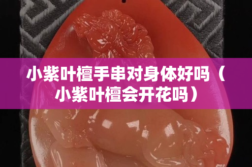 小紫叶檀手串对身体好吗（小紫叶檀会开花吗）