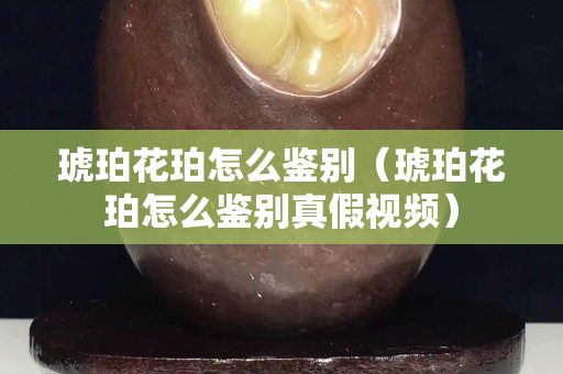 琥珀花珀怎么鉴别（琥珀花珀怎么鉴别真假视频）