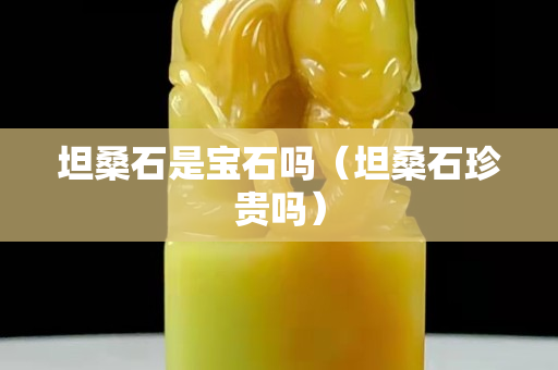 坦桑石是宝石吗（坦桑石珍贵吗）