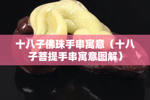 十八子佛珠手串寓意（十八子菩提手串寓意图解）