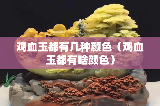 鸡血玉都有几种颜色（鸡血玉都有啥颜色）